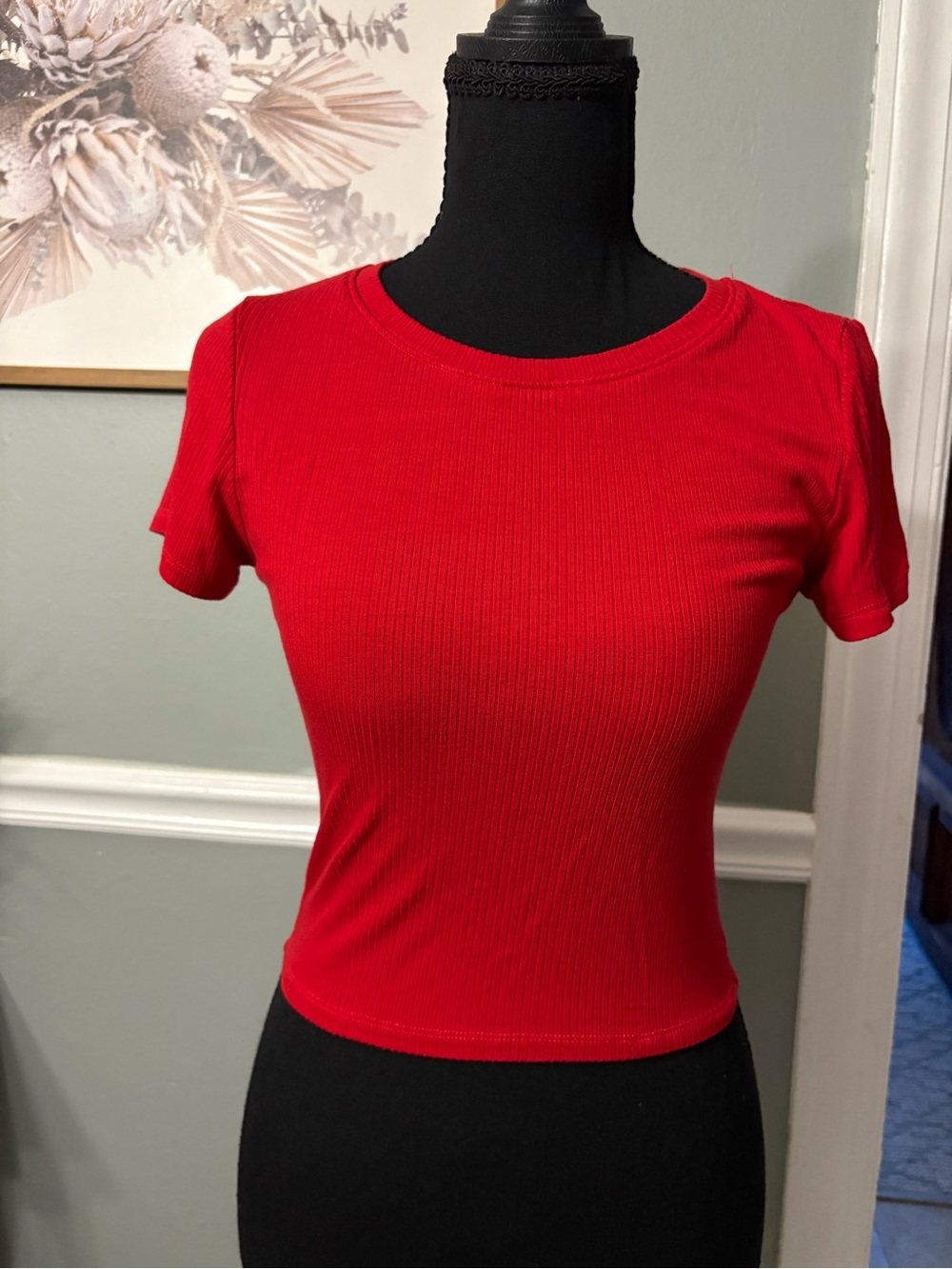 Active Basic Red Ribbed Short Sleeve Tee